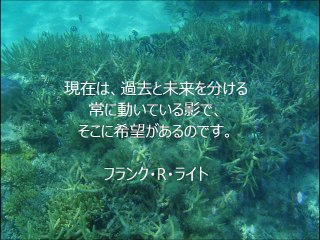 長谷川桜子（慣らし保育アドバイザー）～子どもに読み聞かせたい言葉「フランク・R・ライト」