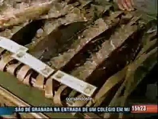 CIGS - Reportagem - Parte 2