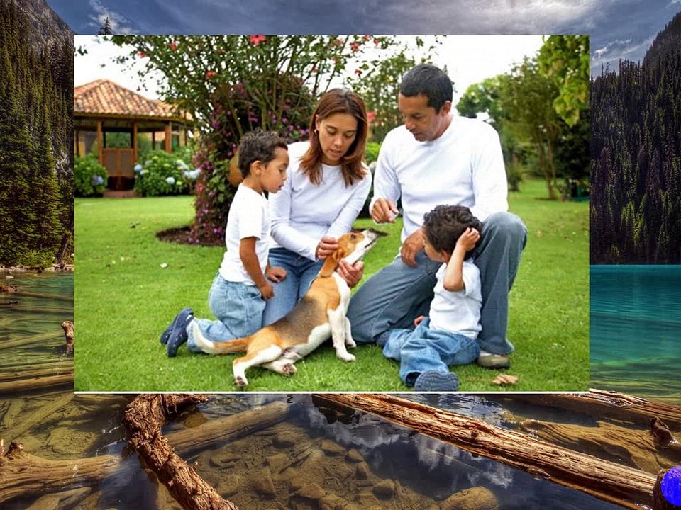 Giving credit where credit is due | Calgary Immigration Lawyer