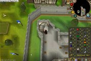 Buy Sell Accounts - Runescape account (Level 105 Rich bank account) for sale (amazon)(1)