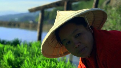 186# Wakeskate sur les rizières des Philippines