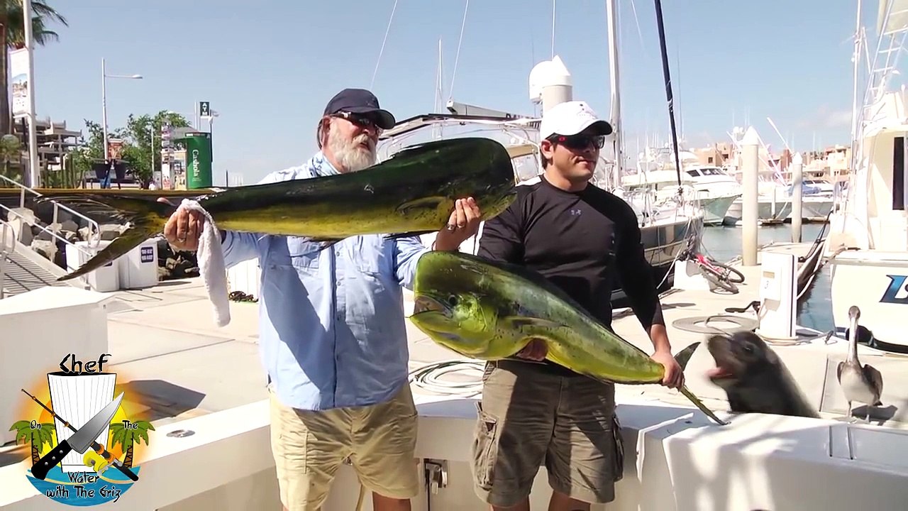 189# Pêcheurs vs Lion de mer