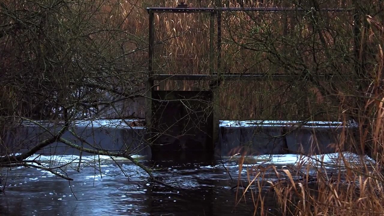 Tomasz Trzciński - Piano Explorations Vol. VIII: Visions - Exile, Picture 6