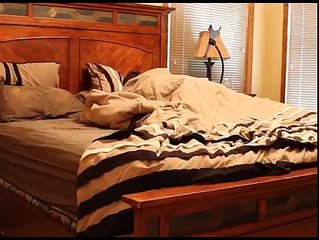 The Best Way To Wake Up In The Morning