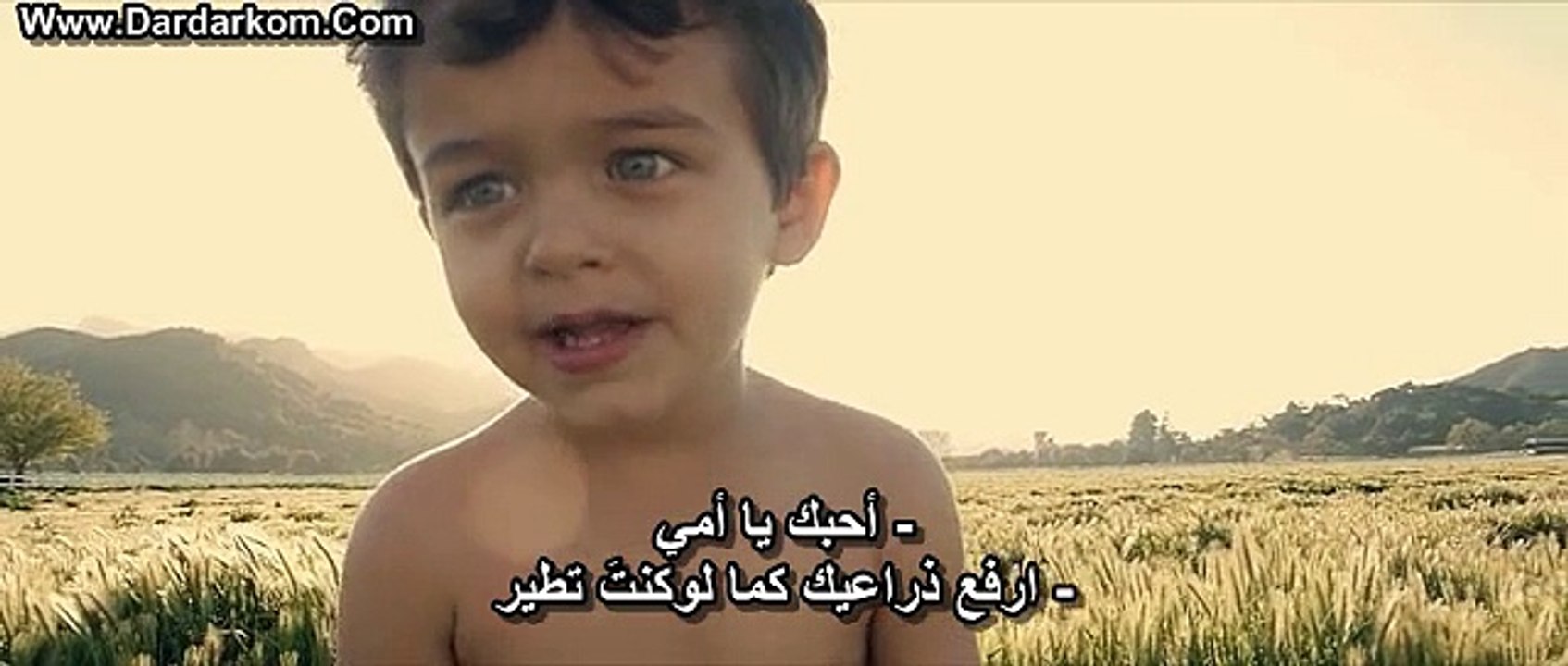 إحصاء