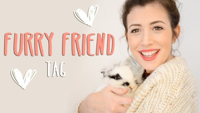 FURRY FRIEND TAG + NOTICIA | Ale90cb
