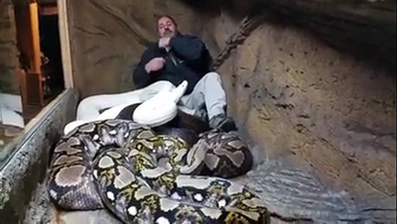 OMG   Guy With A Python