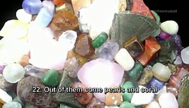 Surah Rahman Mishary Rashid Al Afasy with English Translation سورة الرحمن - مشاري العفاسي