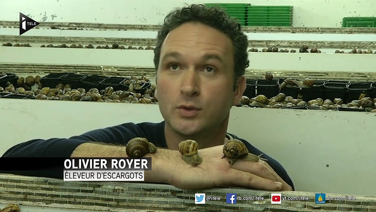 Salon de l’agriculture : les vertus cutanées des escargots