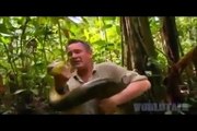 OMG!!! Most Brave Man V_S Anaconda