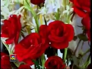 Mujh Ko Taiba Mein Bulalo