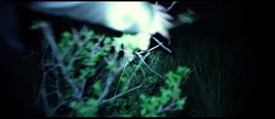 NIGHTLIGHT Trailer