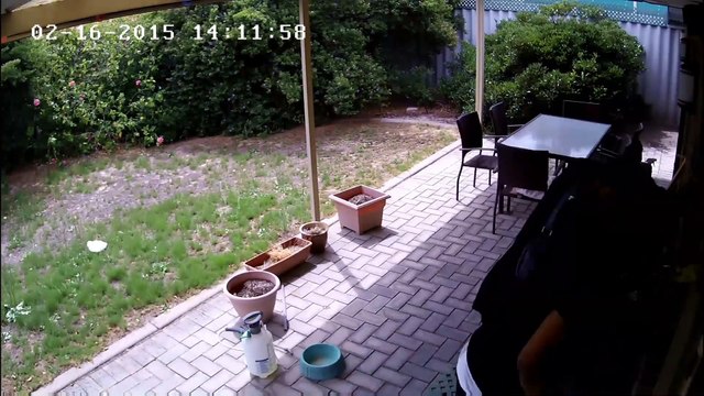 Cambrioleurs + musique de Benny Hill