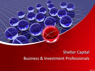 Business & Investment Professionals