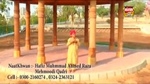 Ya Rasool Allah Video Naat - Ahmed Raza Mehmoodi - New Naat [2015] - Naat SHARIF