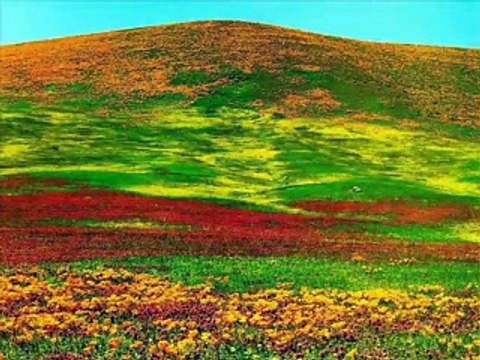 Yeni Türkü - Olmasa Mektubun