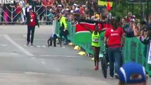 Marathon runner crawls to finish line after collapsing