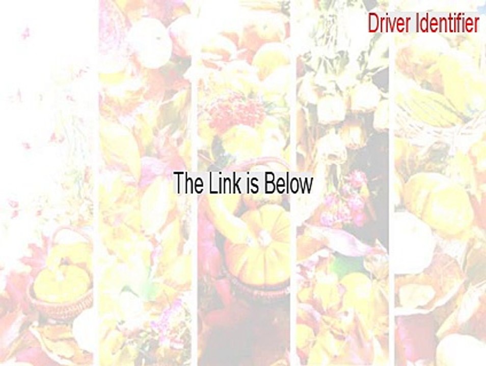 Driver Identifier Full (Driver Identifierdriver identifier)