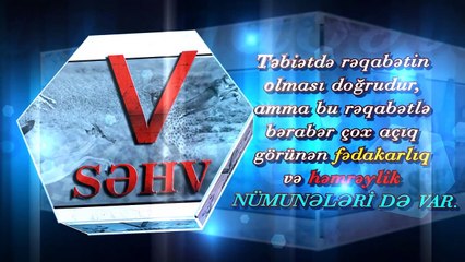 Təkamül saxtakarlıqları - 5-ci səhv - Təbiətdə rəqabət