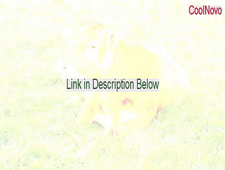 CoolNovo Free Download (Download Now 2015)