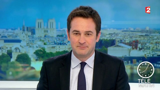 Les bovins se préparent pour le Salon de l'Agriculture