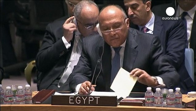 Συμβούλιο Ασφαλείας: Την άρση του εμπάργκο όπλων στη Λιβύη ζητούν Λιβύη και Αίγυτπος