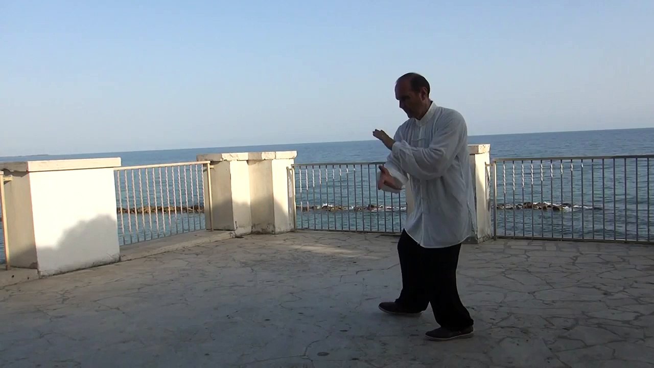 CORSI DI TAI CHI E QI GONG da 10 EURO A ROMA: FORMA 8 SECONDA VISIONE POSTERIORE