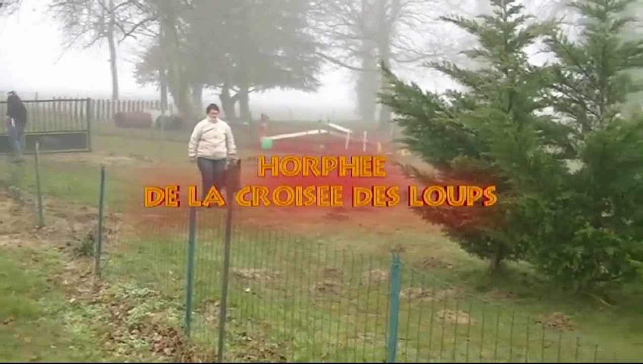 Horphée de la Croisée des Loups, Tresses 2015, Mondioring 1