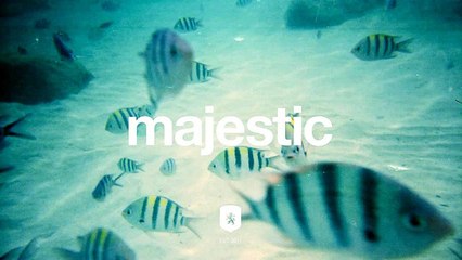 Andrea x Kodak to Graph - Pictures