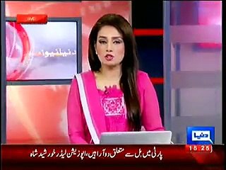 Differences in PPP Leaders For Dual Nationality Bill