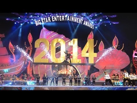 Celebs @ Big Star Entertainment Awards 2014