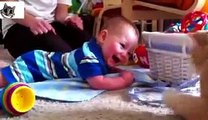 Baby - Laughing Baby, Babies and Funny Kids, Funny Babies - Funny Video, Funny People