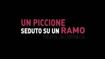 Un piccione seduto su un ramo riflette sull'esistenza (2014)