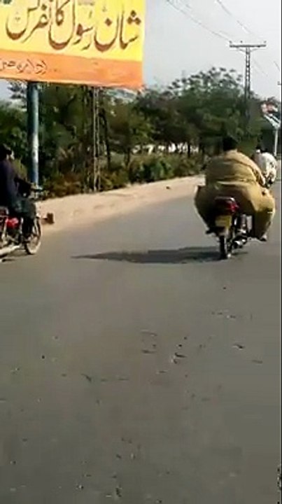 elephant on bike