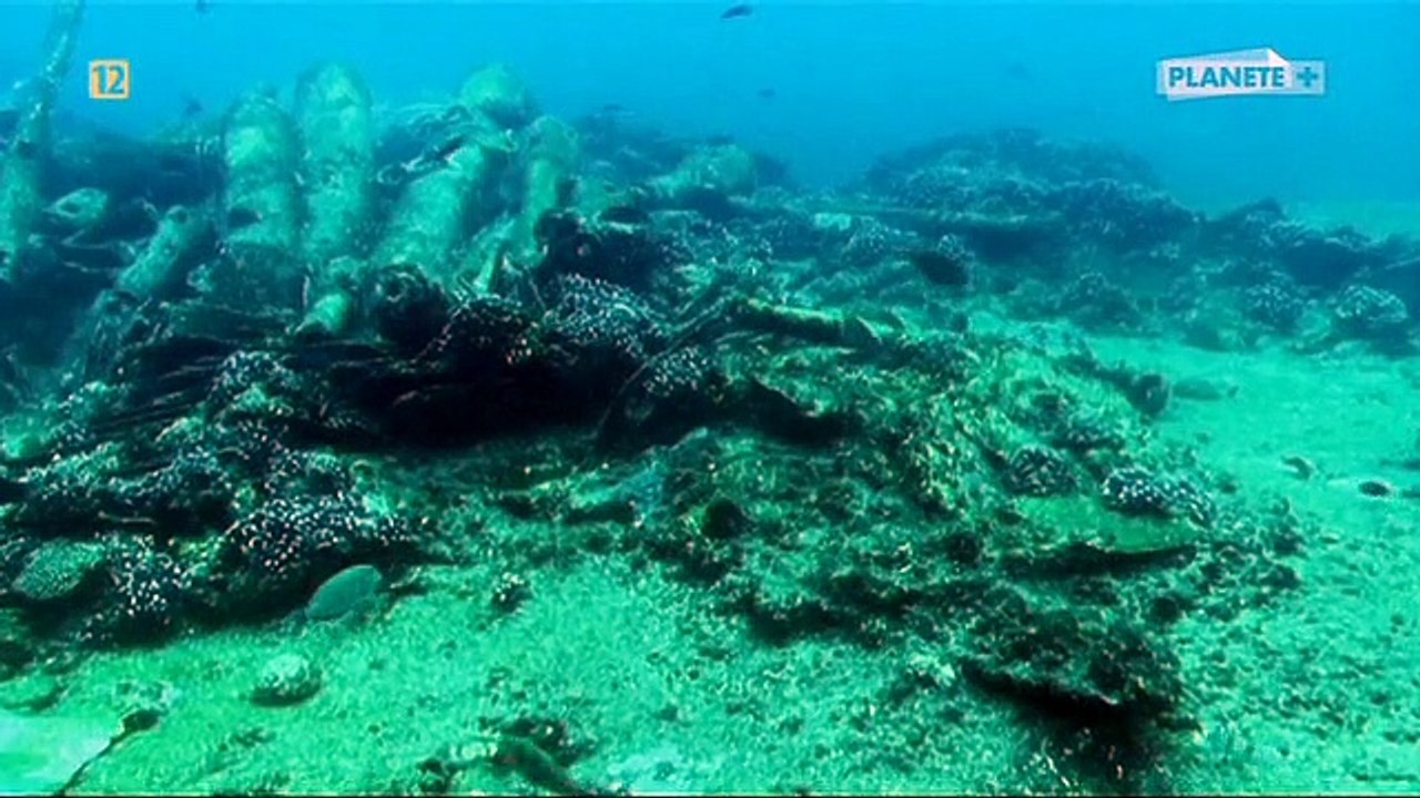 Zatopione skarby z Bassas da India  [dokument]