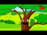 الشجرة - سبيس تون | Spacetoon