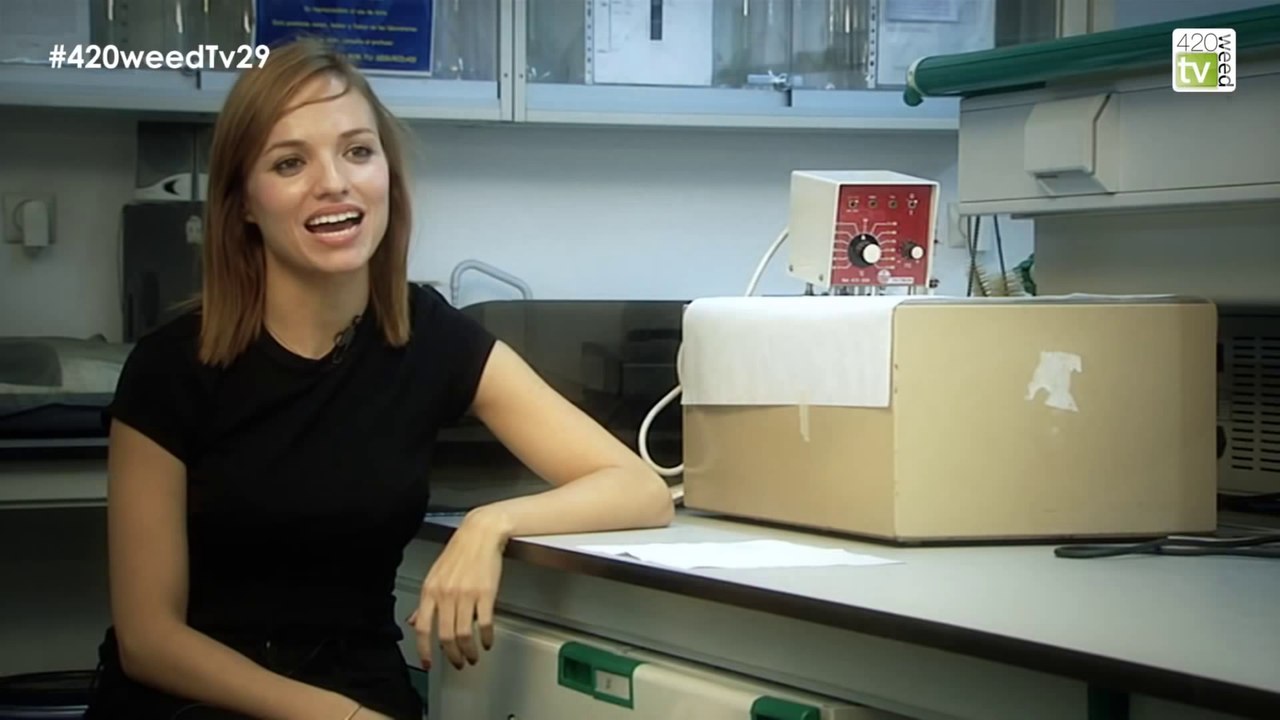 Cannabis vs Cancer, Interview du Dr Cristina Sanchez (STFR)
