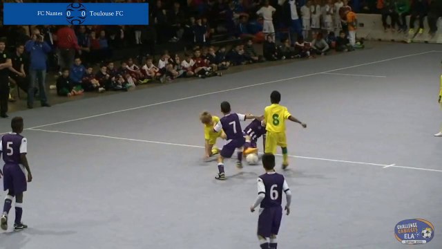 FC Nantes / Toulouse FC - Match pour la 3ème place 2015