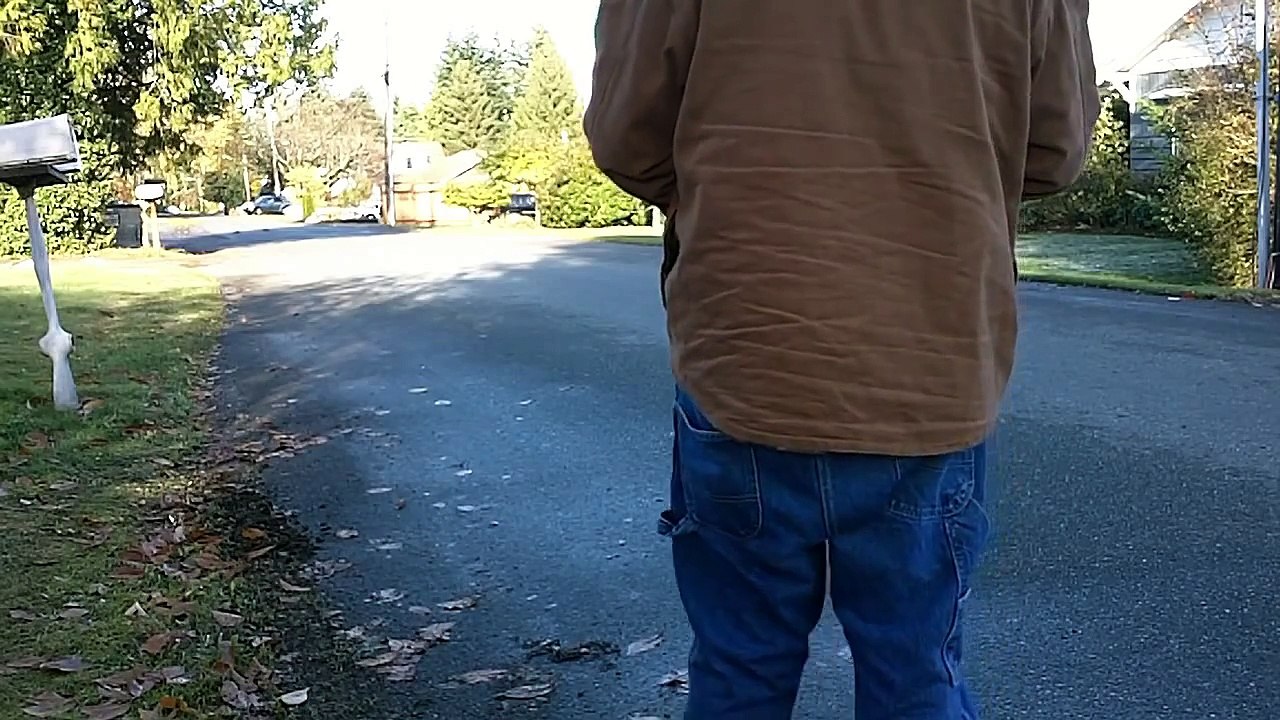 Losi Mini 8ight vs castle Mini 8ight,