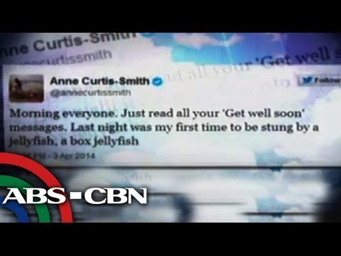 Anne Curtis tweets about jellyfish attack