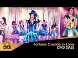 Official Video JKT48 DVD Sale - Fortune Cookies in Love