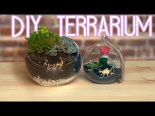 DIY Terrarium ❤ Glamify with LewlaWasHere