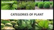 Plant Life - CBSE NCERT Science