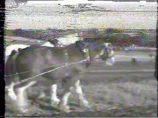 Village Life Working Horses