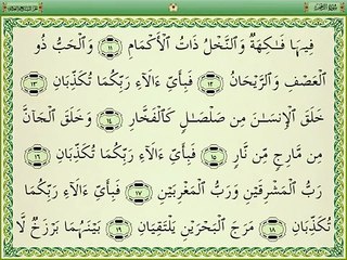 Ar RAHMAN - AMAZING RECITATION ( SHEIKH JIBRIL )