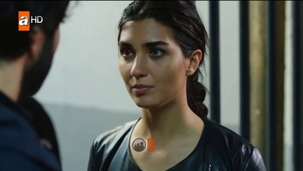 t4