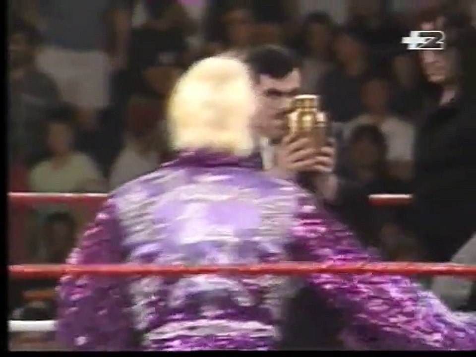 Ric Flair vs Undertaker (Commento Dan Peterson)
