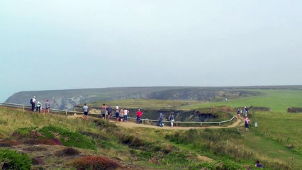 Grey Seals in The Blue Lagoon