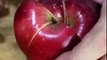 How to keep a cut apple from turning brown by?syndication=228326