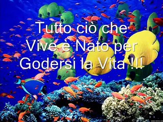 Animali nati per Amare e essere Amati